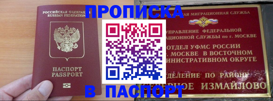 прописка в Сланцах